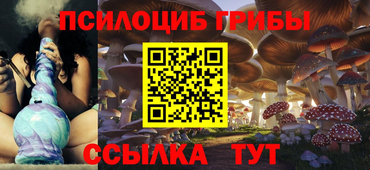 Псилоцибиновые грибы GOLDEN TEACHER  Вход с VPN  купить наркоту  Галлюциногенные грибы мухоморы  Новоуральск 