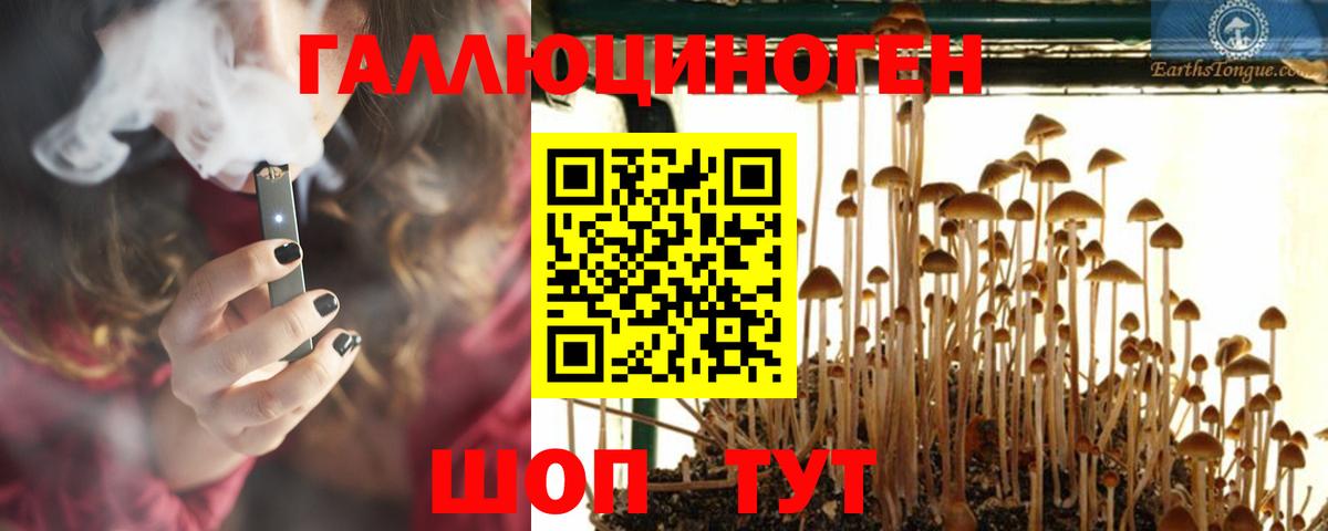 Галлюциногенные грибы Psilocybine cubensis Новоуральск